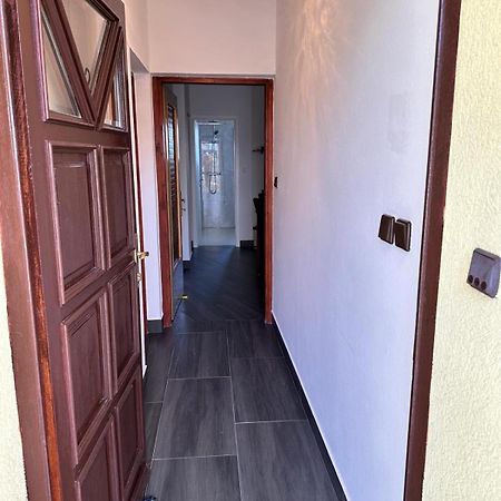 Apartman Nikola Salatic Exterior photo